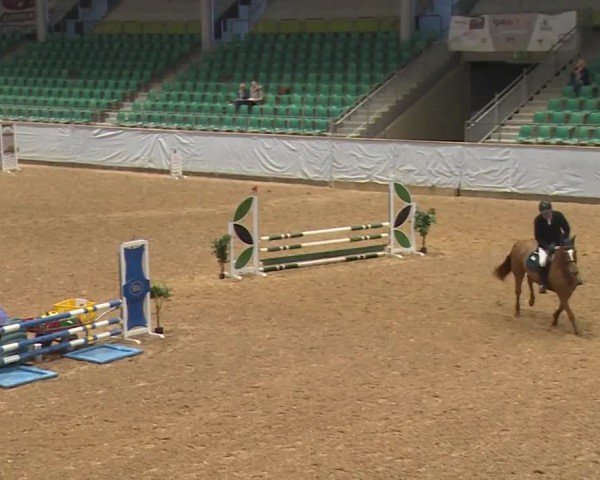 Reitturnier Kreuth/Opf. 2024