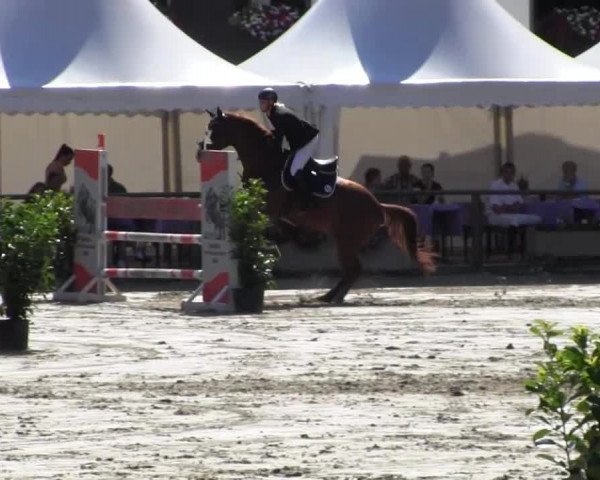 Datteln 2013