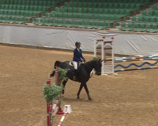Reitturnier Kreuth/Opf. 2024