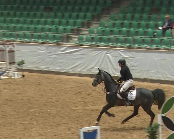 Reitturnier Kreuth/Opf. 2024