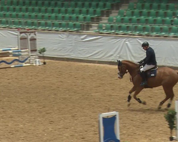 Reitturnier Kreuth/Opf. 2024
