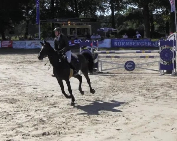 Datteln 2013