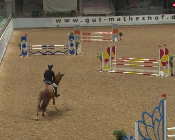 Reitturnier Kreuth/Opf. 2024