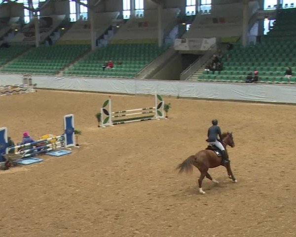 Reitturnier Kreuth/Opf. 2024