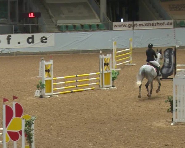 Reitturnier Kreuth/Opf. 2024