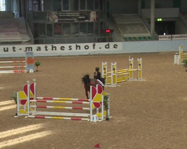 Reitturnier Kreuth/Opf. 2024
