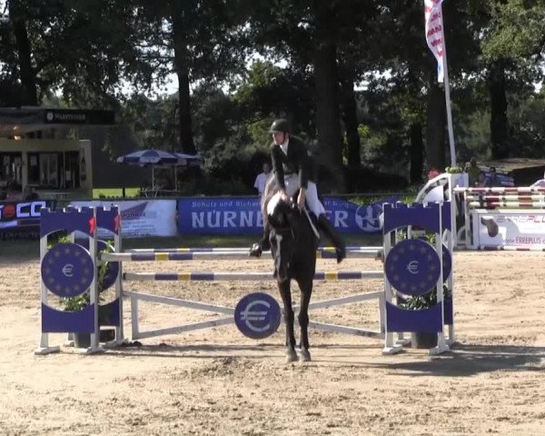 Datteln 2013