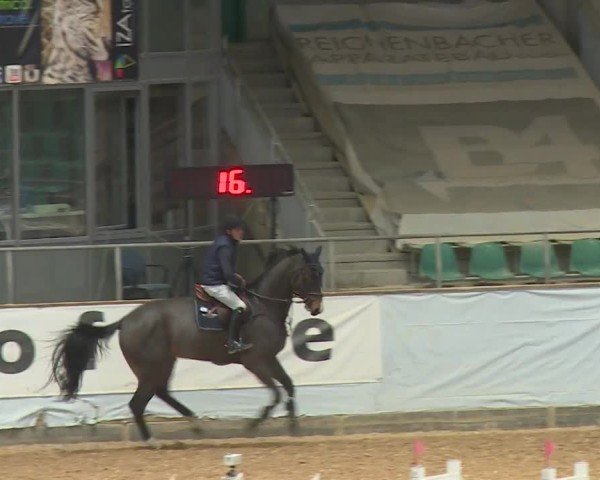 Reitturnier Kreuth/Opf. 2024