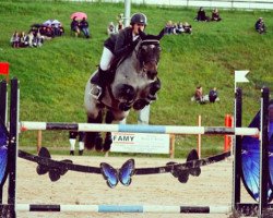 jumper Pharaway des Touches (Connemara Pony, 2003, from Galway de la Dive)