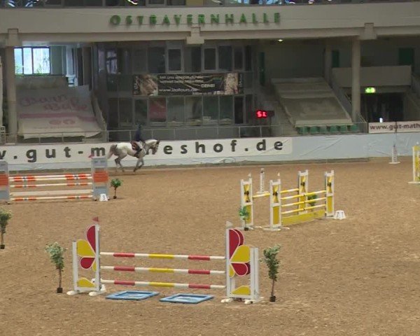 Reitturnier Kreuth/Opf. 2024