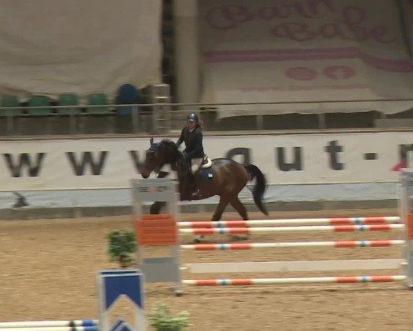 Reitturnier Kreuth/Opf. 2024