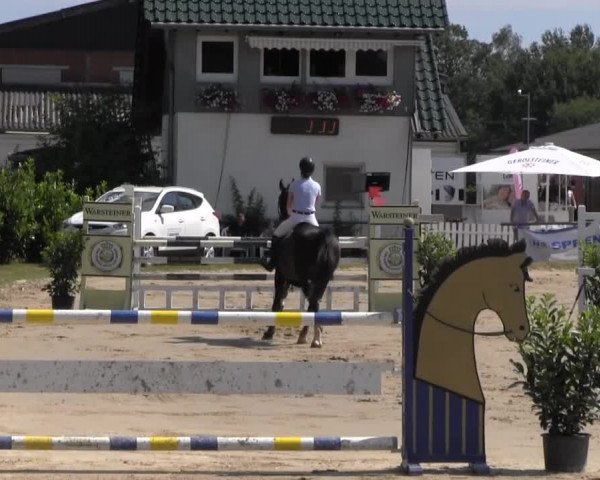 Datteln 2013