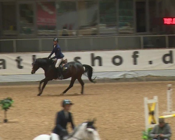 Reitturnier Kreuth/Opf. 2024