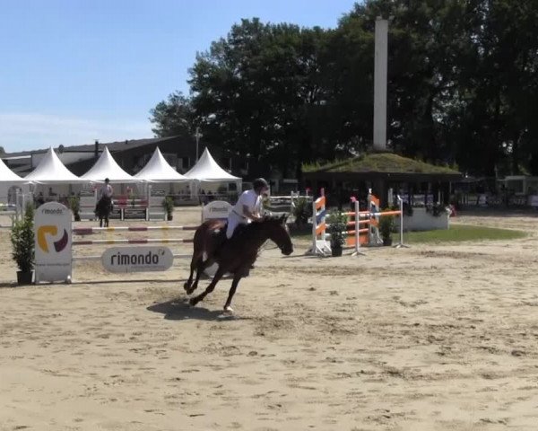 Datteln 2013