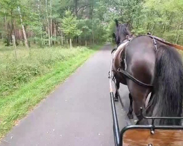Video of Ode