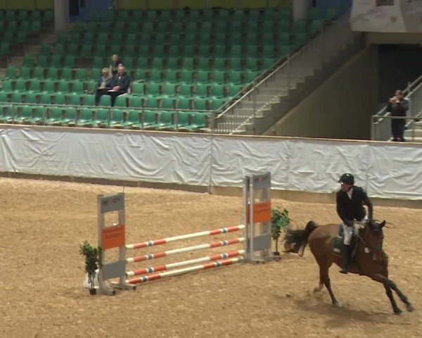 Reitturnier Kreuth/Opf. 2024