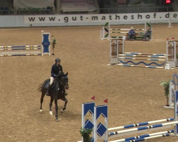 Reitturnier Kreuth/Opf. 2024
