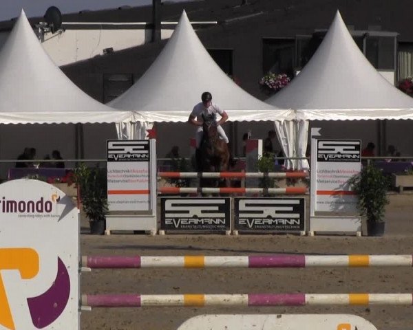 Datteln 2013