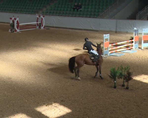 Reitturnier Kreuth/Opf. 2024