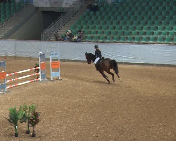 Reitturnier Kreuth/Opf. 2024