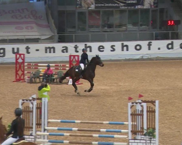Reitturnier Kreuth/Opf. 2024