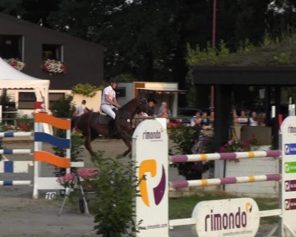 Datteln 2013