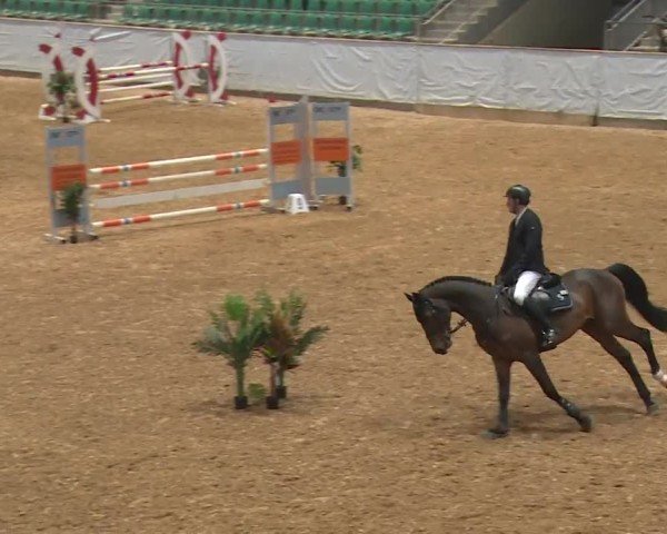 Reitturnier Kreuth/Opf. 2024