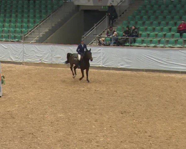 Reitturnier Kreuth/Opf. 2024
