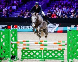 Cavallo Hermes de La Trigalle (Selle Français, 2017)