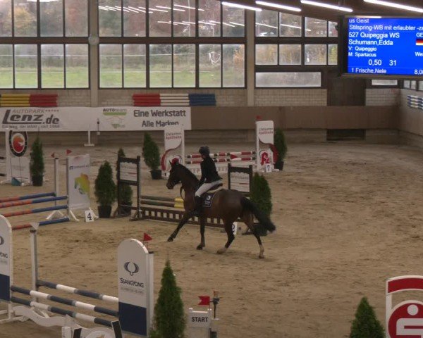 Reitturnier Oelde 2024