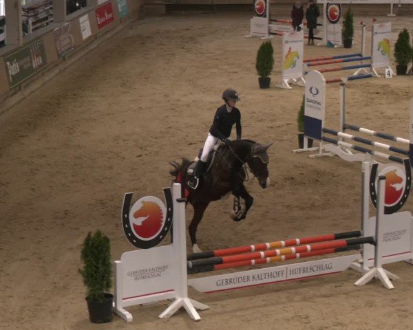 Reitturnier Oelde 2024