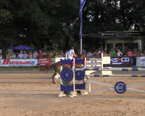 Datteln 2013