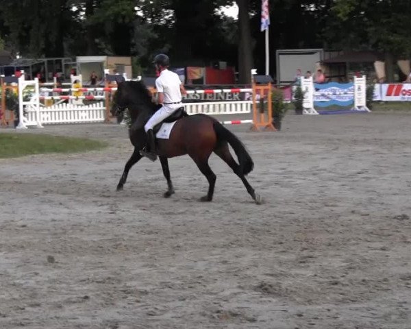 Datteln 2013