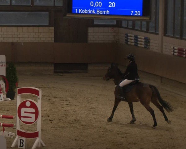 Reitturnier Oelde 2024
