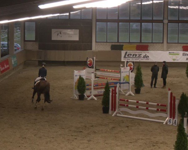 Reitturnier Oelde 2024