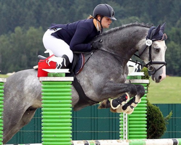 jumper Lachlan (Holsteiner, 2012, from Larimar)