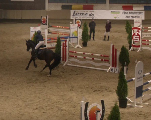Reitturnier Oelde 2024
