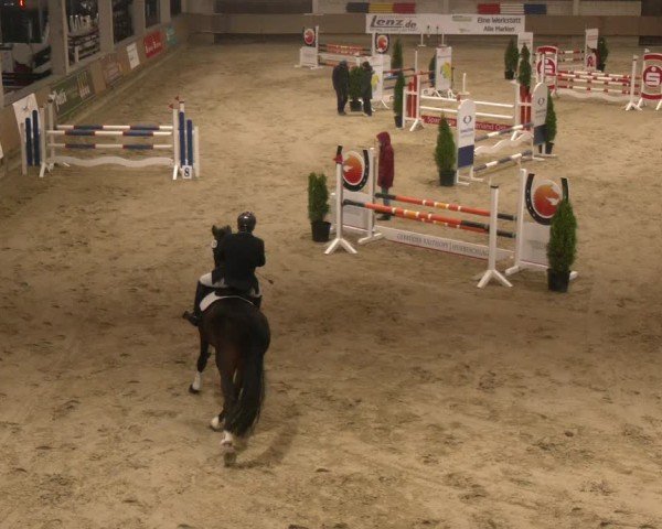 Reitturnier Oelde 2024
