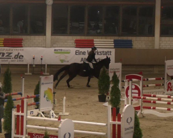 Reitturnier Oelde 2024