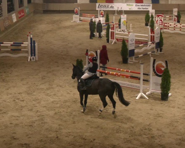Reitturnier Oelde 2024