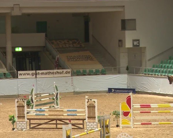 Reitturnier Kreuth/Opf. 2024