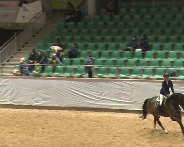 Reitturnier Kreuth/Opf. 2024