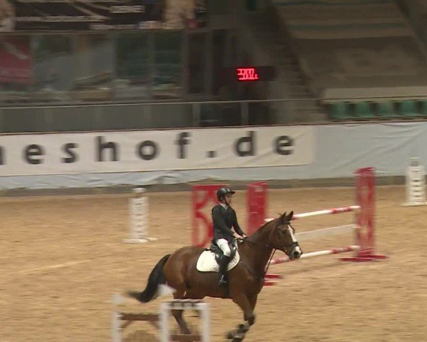 Reitturnier Kreuth/Opf. 2024