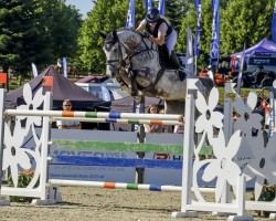 jumper Obahma Js (Belgian Warmblood, 2014, from Berlin)