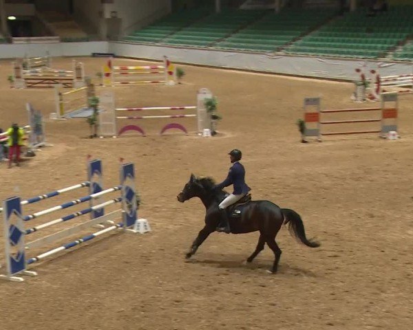Reitturnier Kreuth/Opf. 2024