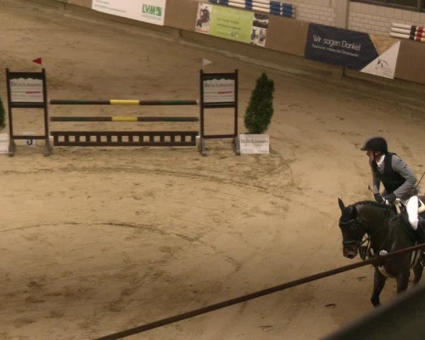 Reitturnier Oelde 2024