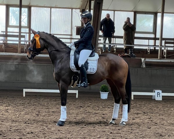 dressage horse Zeppelin's Ballerina (Oldenburg, 2018, from Fürstenball)