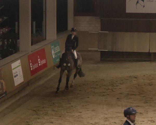 Reitturnier Oelde 2024
