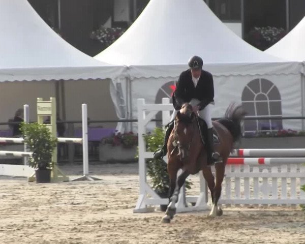 Datteln 2013