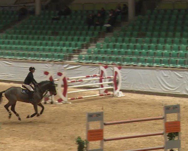 Reitturnier Kreuth/Opf. 2024